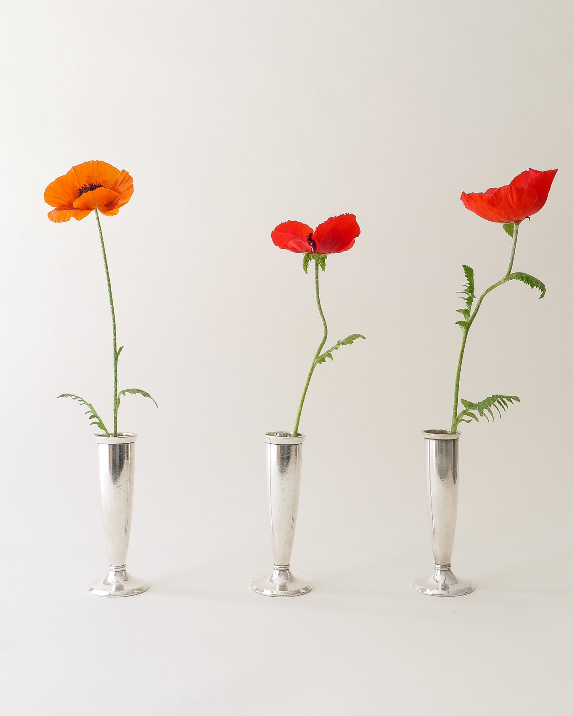 Gio Ponti Arthur Krupp soliflore vases, two vases with red and orange poppies, paired view