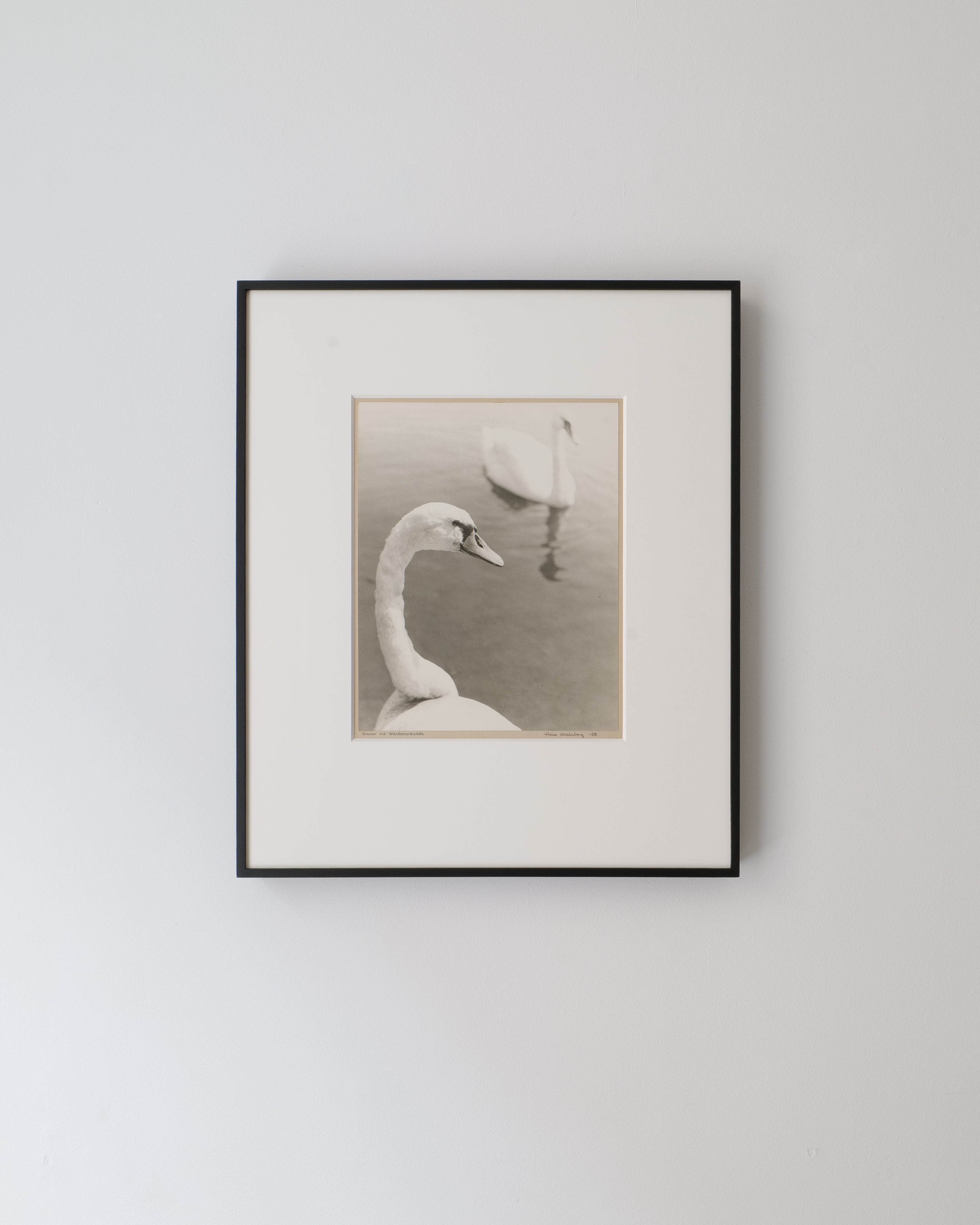 Hans Malmberg silver gelatin photograph of swans at Waldemarsudde, signed and dated 1968