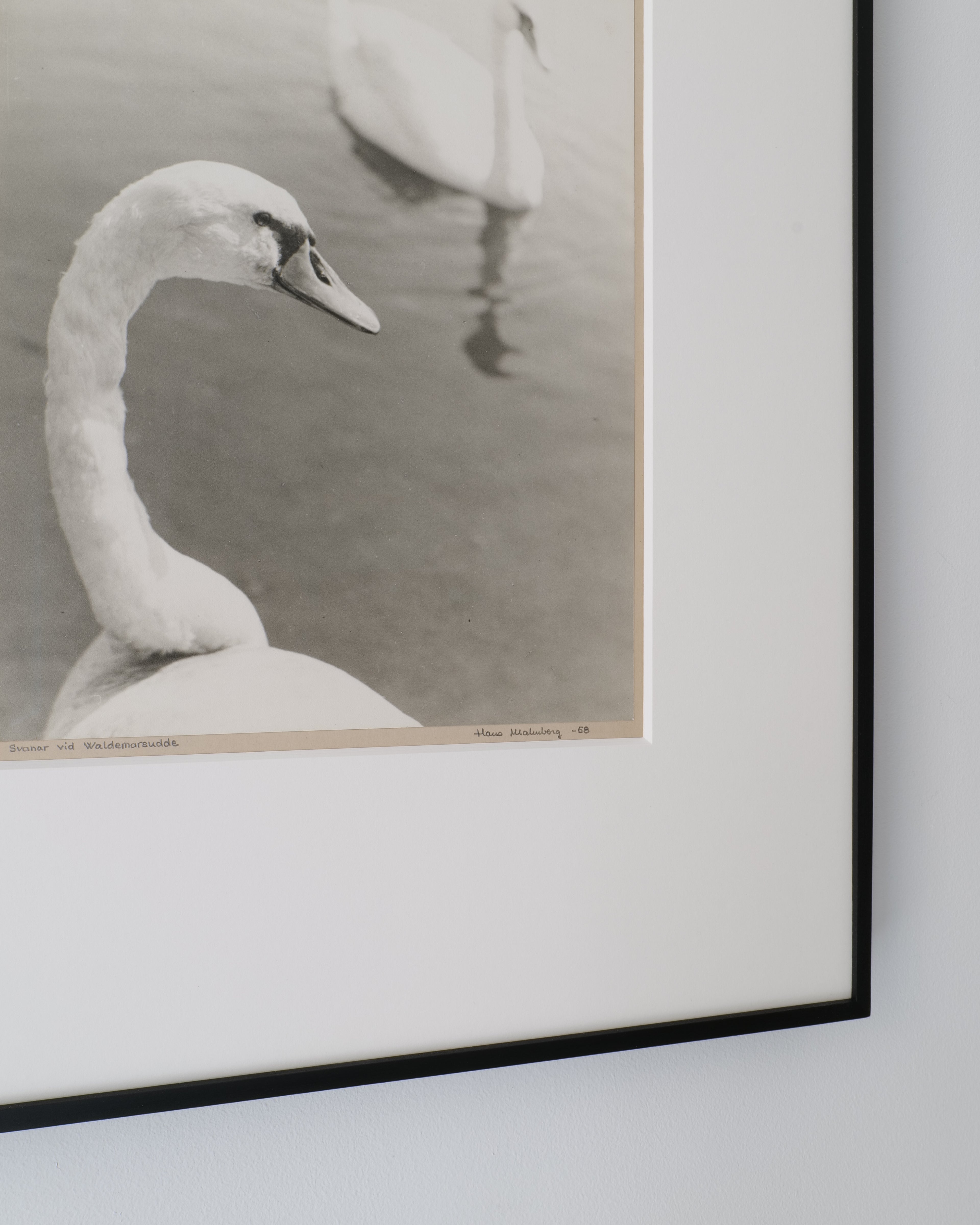 Hans Malmberg photograph detail showing signature and date lower right, 1968