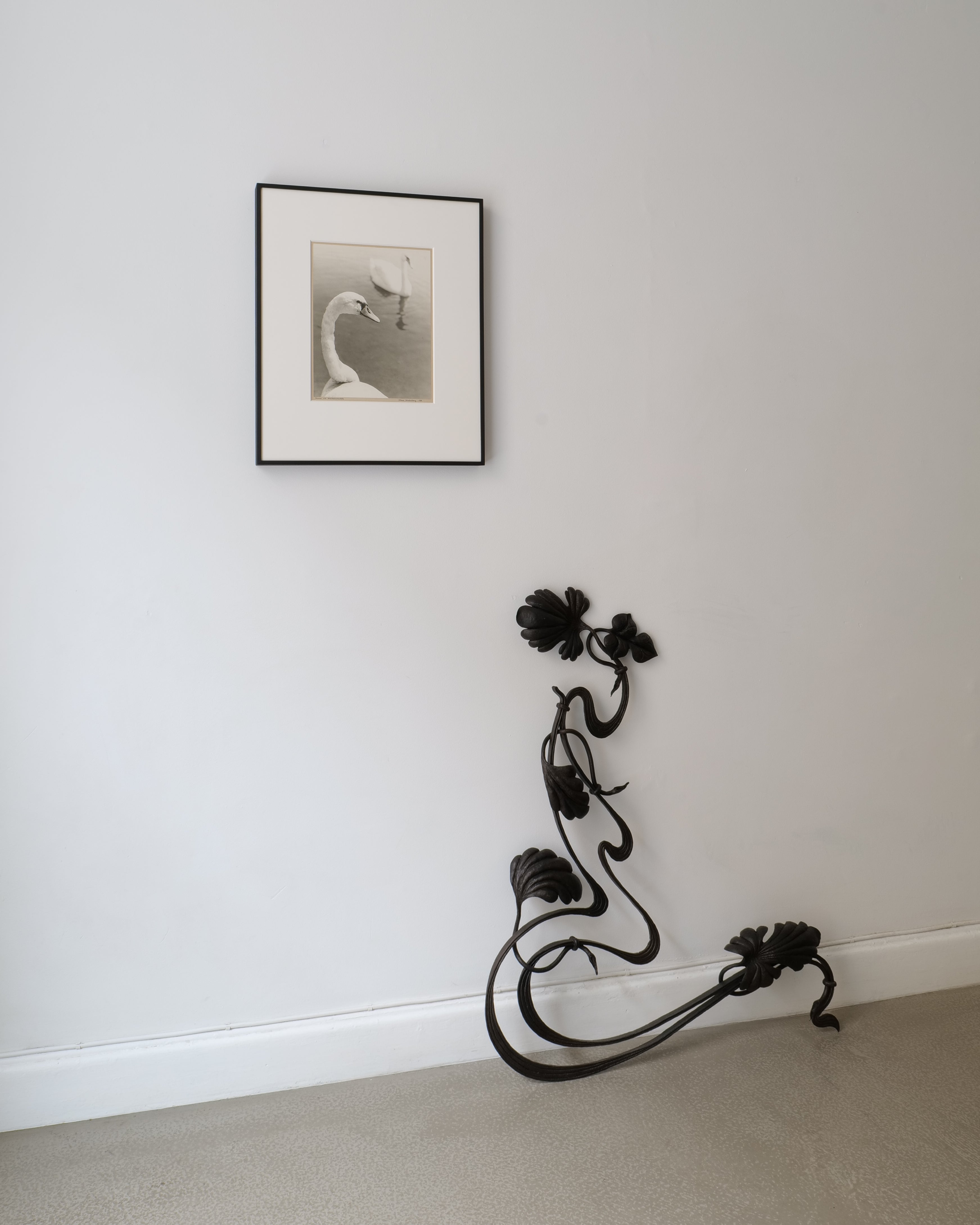 Collection Apart – Hans Malmberg swan photograph framed at Bergevall Ramar, Stockholm with Art Nouveau decorative wrought iron wall feature