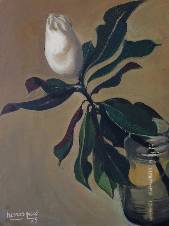 Magnolia Grandiflora, 1979
