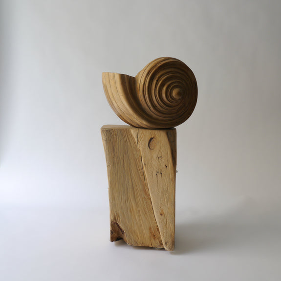 Shell Wood Sculpture