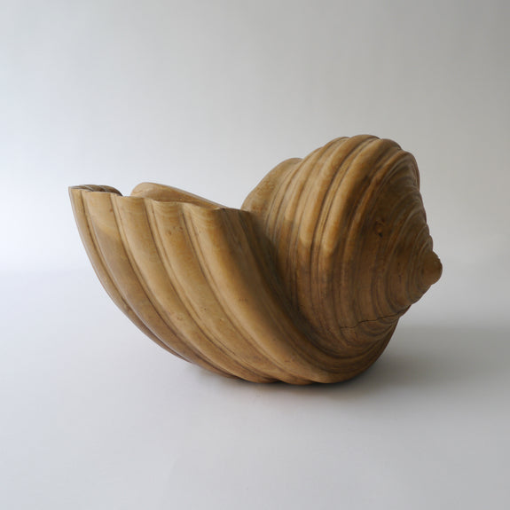 Shell Wood Sculpture