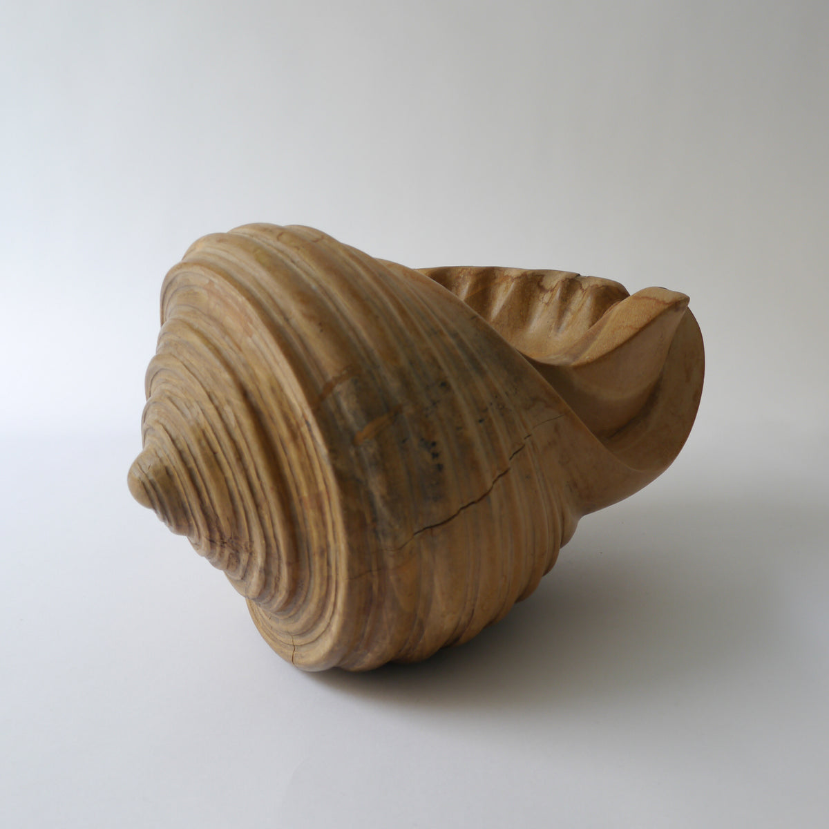Wook Shell Shell Wood Sculpture – Collection Apart